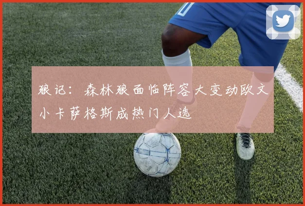 狼记：森林狼面临阵容大变动欧文小卡萨格斯成热门人选