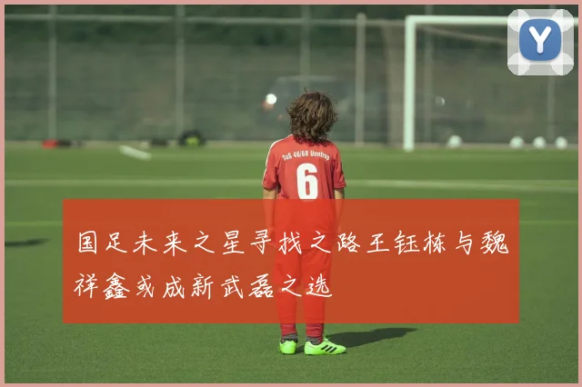 国足未来之星寻找之路王钰栋与魏祥鑫或成新武磊之选