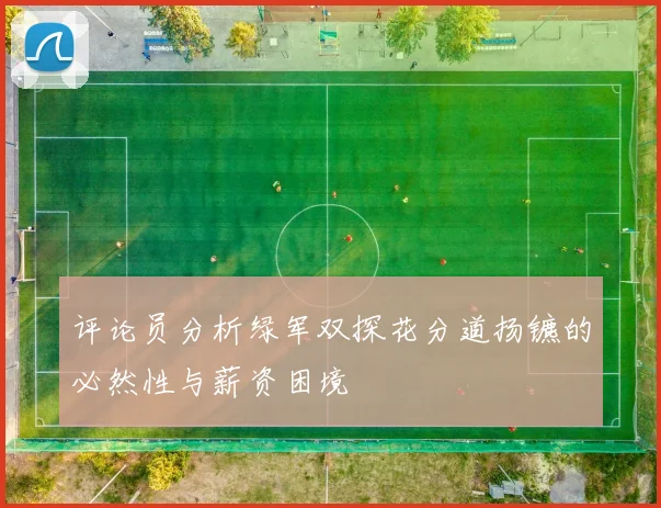 评论员分析绿军双探花分道扬镳的必然性与薪资困境