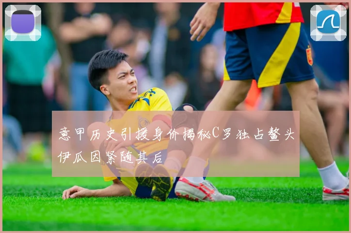 意甲历史引援身价揭秘C罗独占鳌头伊瓜因紧随其后
